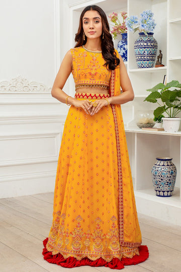 Kashish Zarif Dastoor 2021